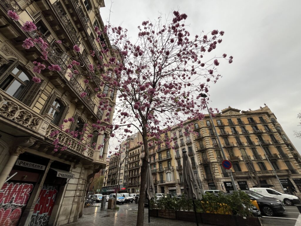 バルセロナの街並みイメージ