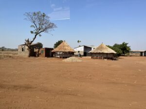 道路沿いの村イメージ
