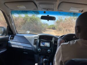 ゲームドライブのような道イメージ